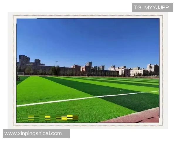 足球场草皮技术揭秘